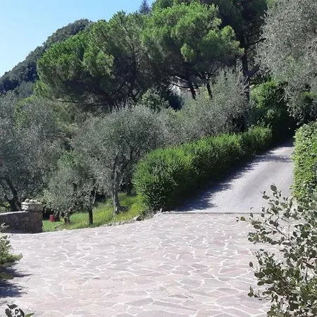 Podere Buonarosa